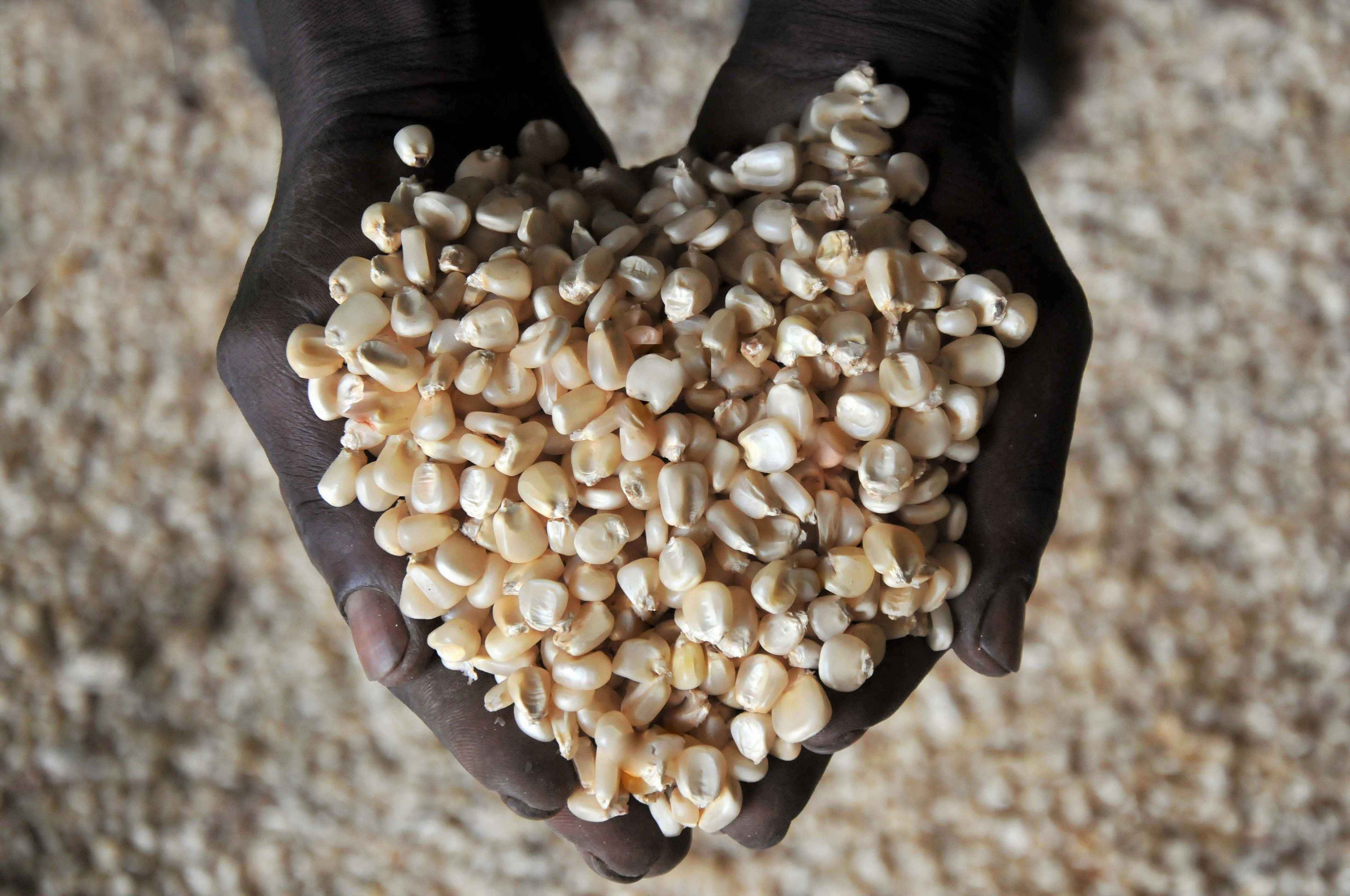 Grain Management in Uganda