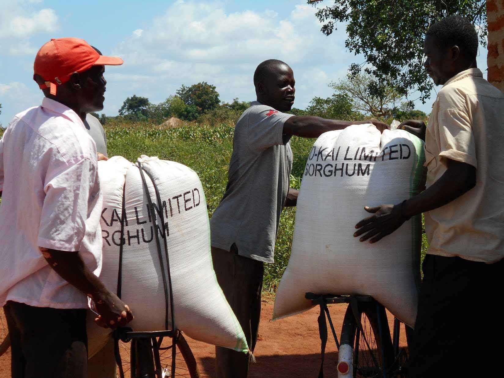 Grain Management in Uganda