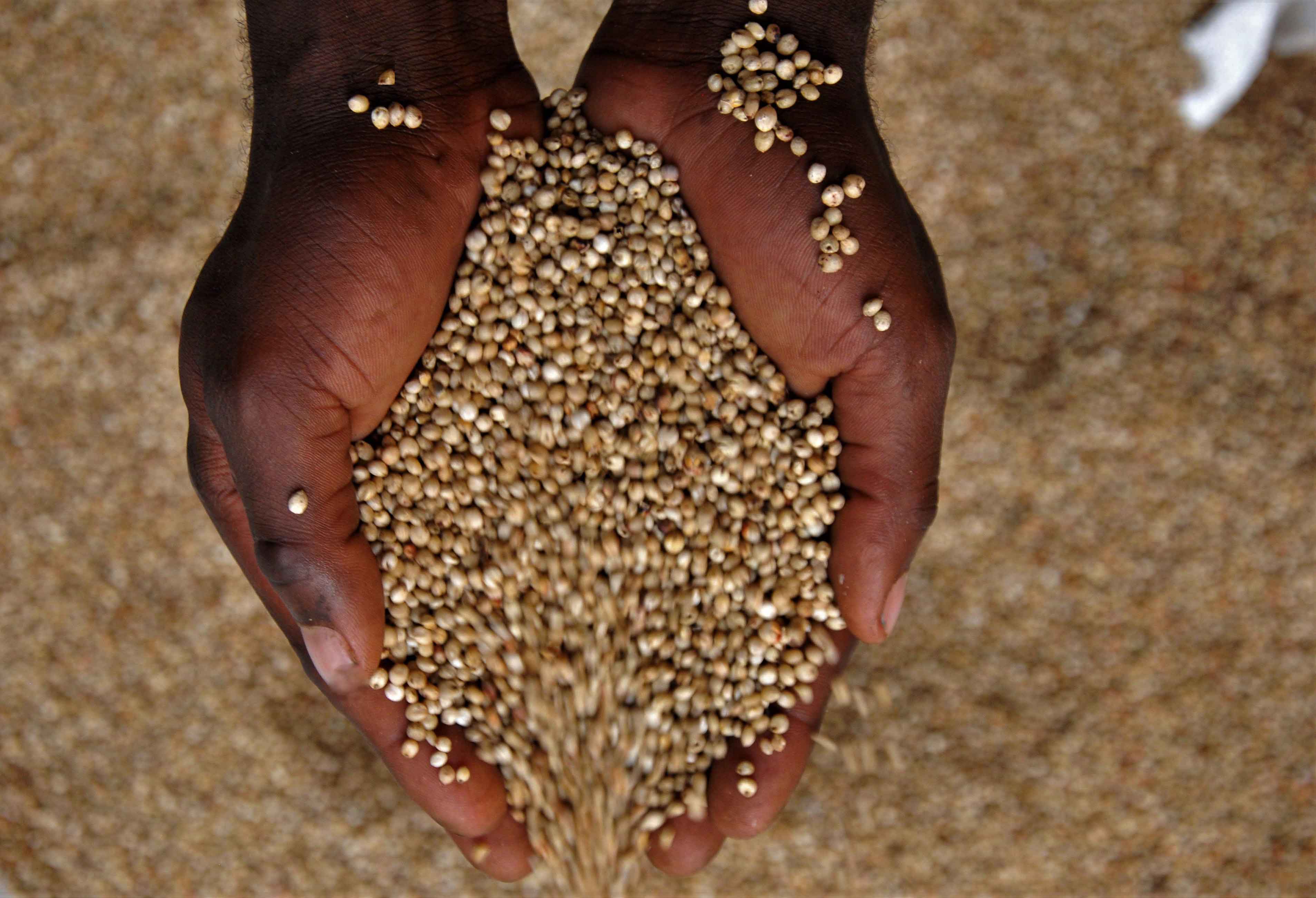 Grain Management in Uganda